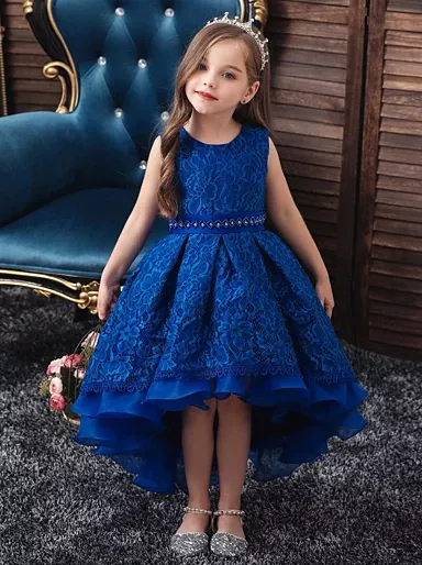 Chicas Vestido De Princesa Para La Fiesta Rosa+azul Chicas Vestido De Princesa Para La Fiesta Rosa+azul