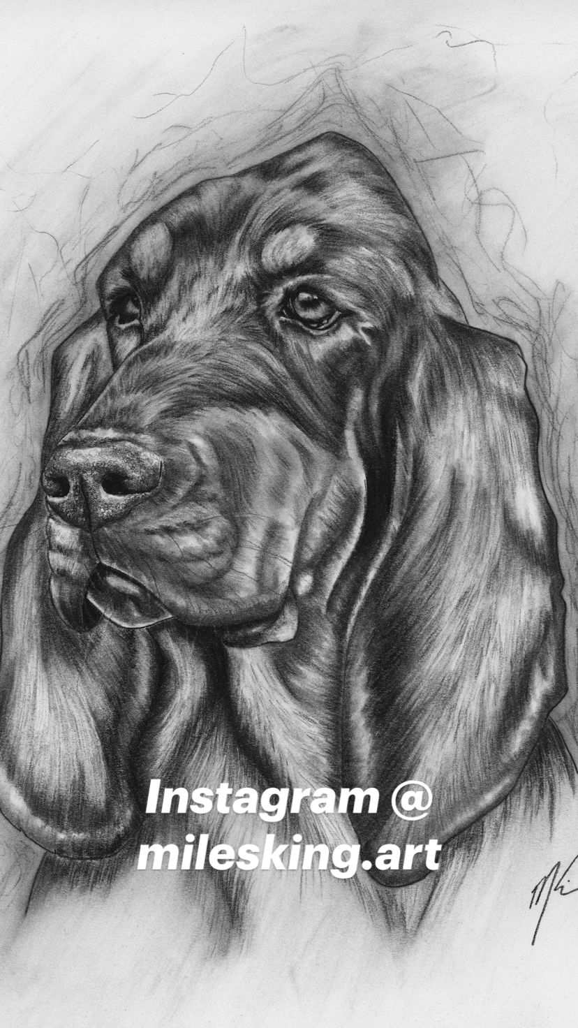 Instagram @ milesking.art