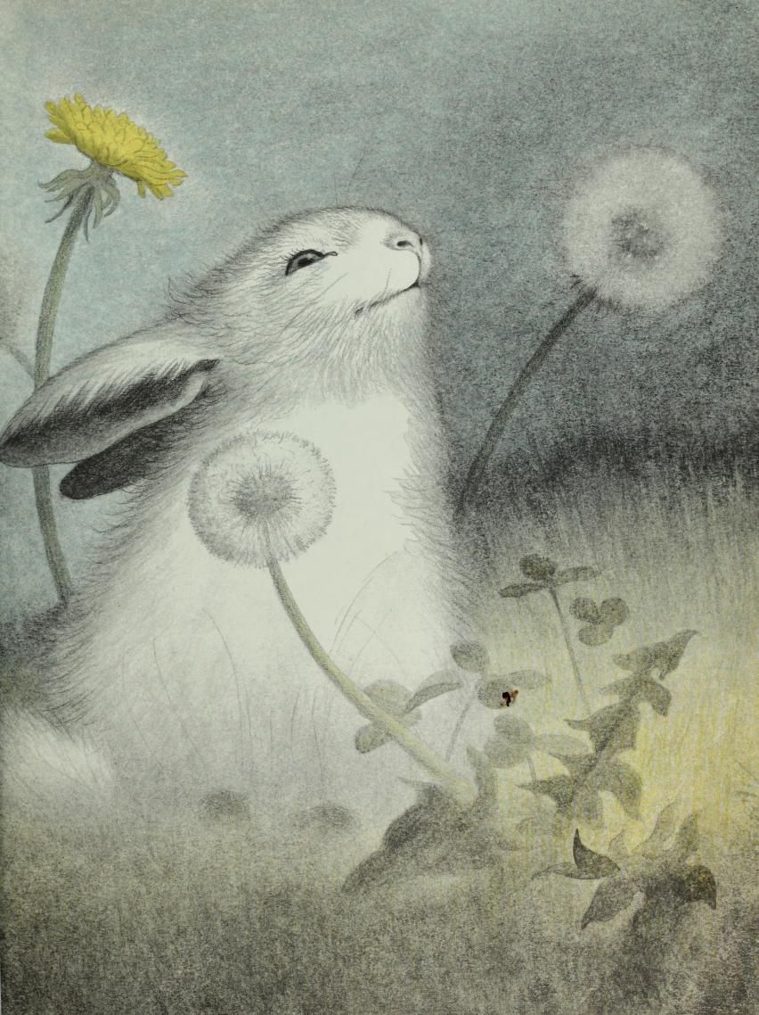 Garth Williams, The Rabbit’s Wedding Bunny art, Rabbit