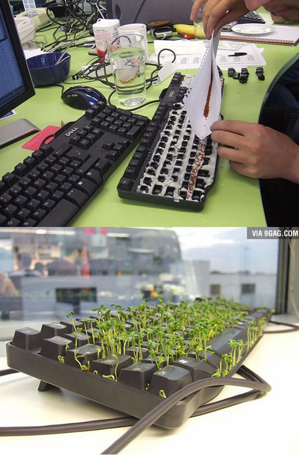 Scarica Gratis Images 22 Blagues De Batard A Faire Absolument A Tous Vos Collegues De le plus cool par