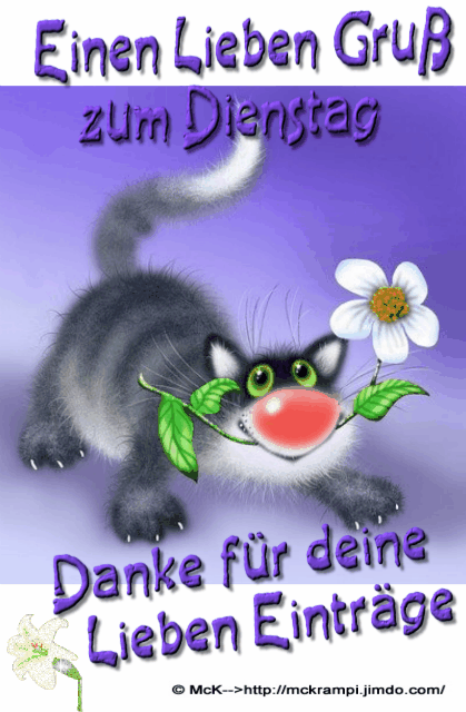 Fantastische freunde aus chat