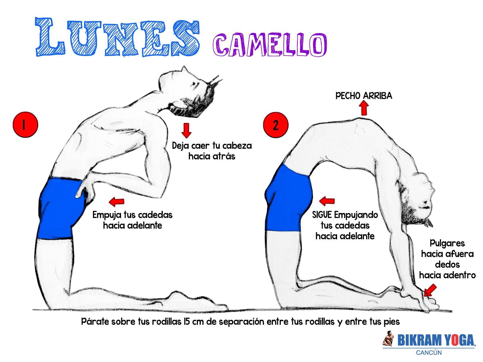 Yoga: postura del camello Yoga: postura del camello