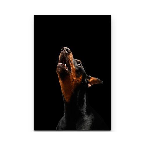 East Urban Home Portrait Of A Doberman Pinscher Print On Canvas