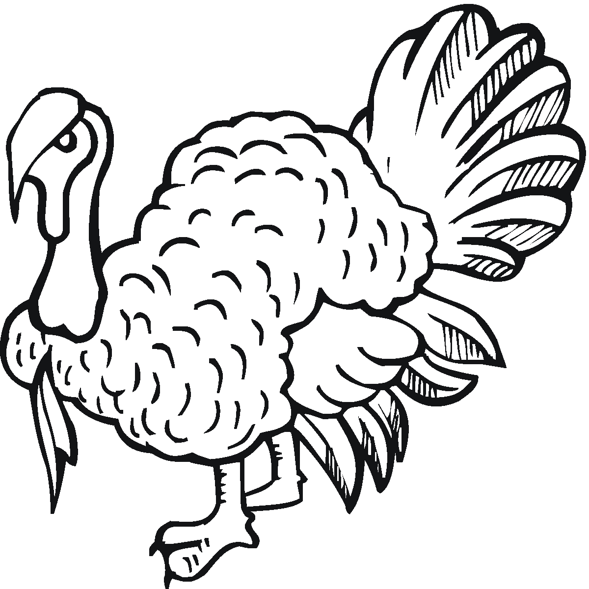 Turkey Coloring Pages