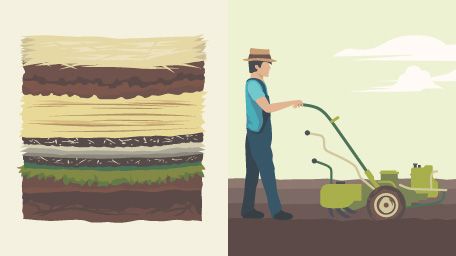 mulching