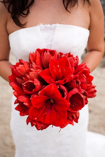 Winter Amaryllis Bouquet-available november-february Zinnia Bouquet, Amaryllis Wedding Bouquet, Red Flower Bouquet, Red Bouquet Wedding, Red Wedding Flowers, Red Flowers, Bridal Bouquet, Floral Wedding, Hibiscus Bouquet