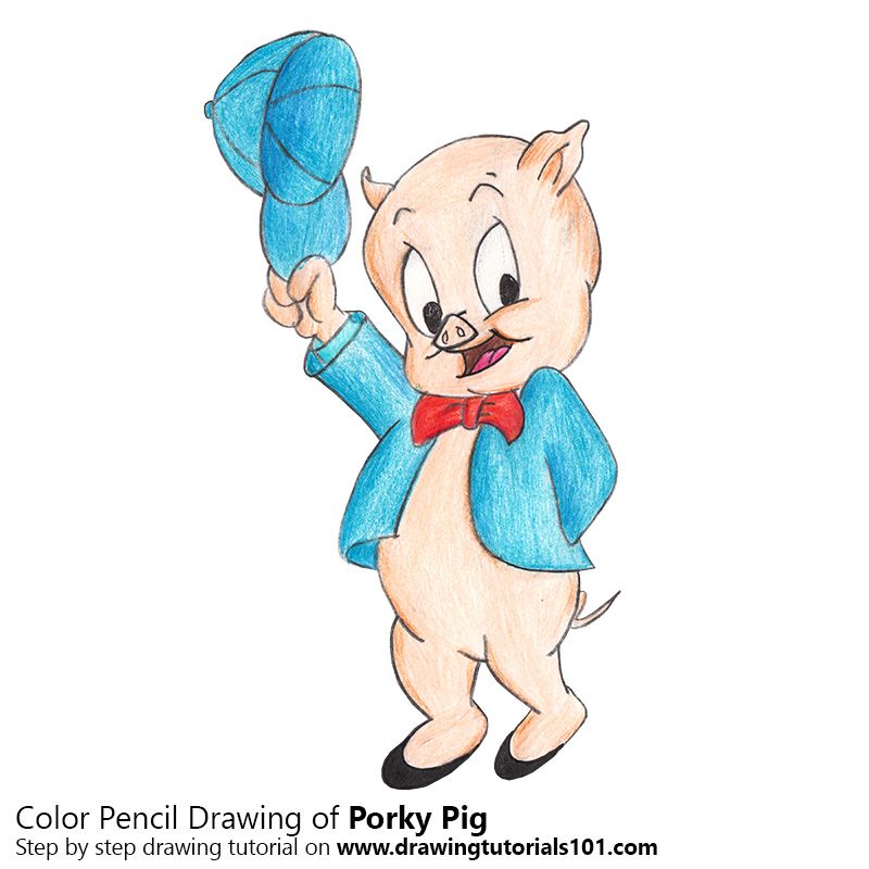 Porky Pig with Color Pencils Colored pencils, Drawing tutorial, Drawings Porky Pig with Color Pencils Colored pencils, Drawing tutorial, Drawings