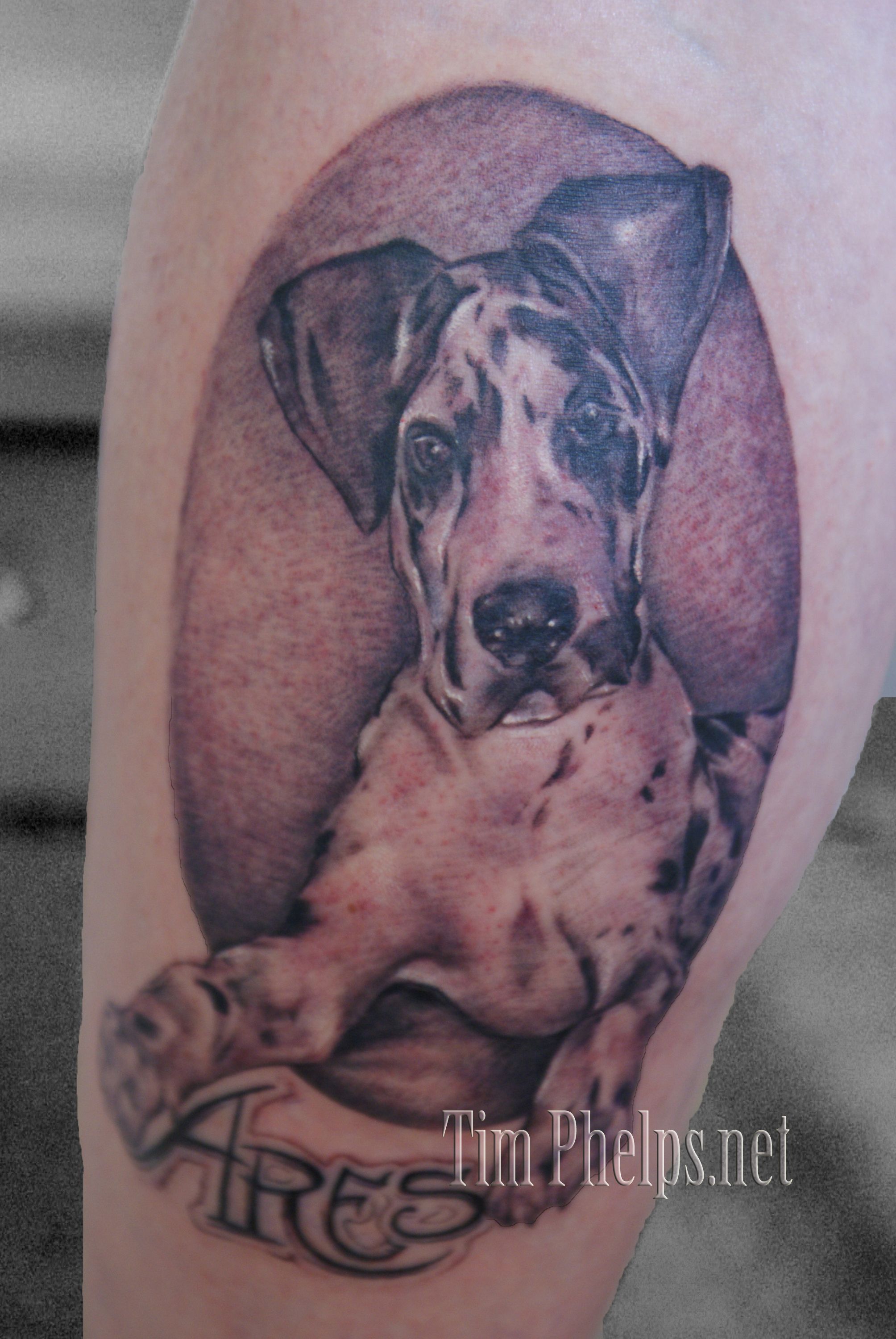 Great Dane Tattoo Dog Tattoos Pets Best Dogs
