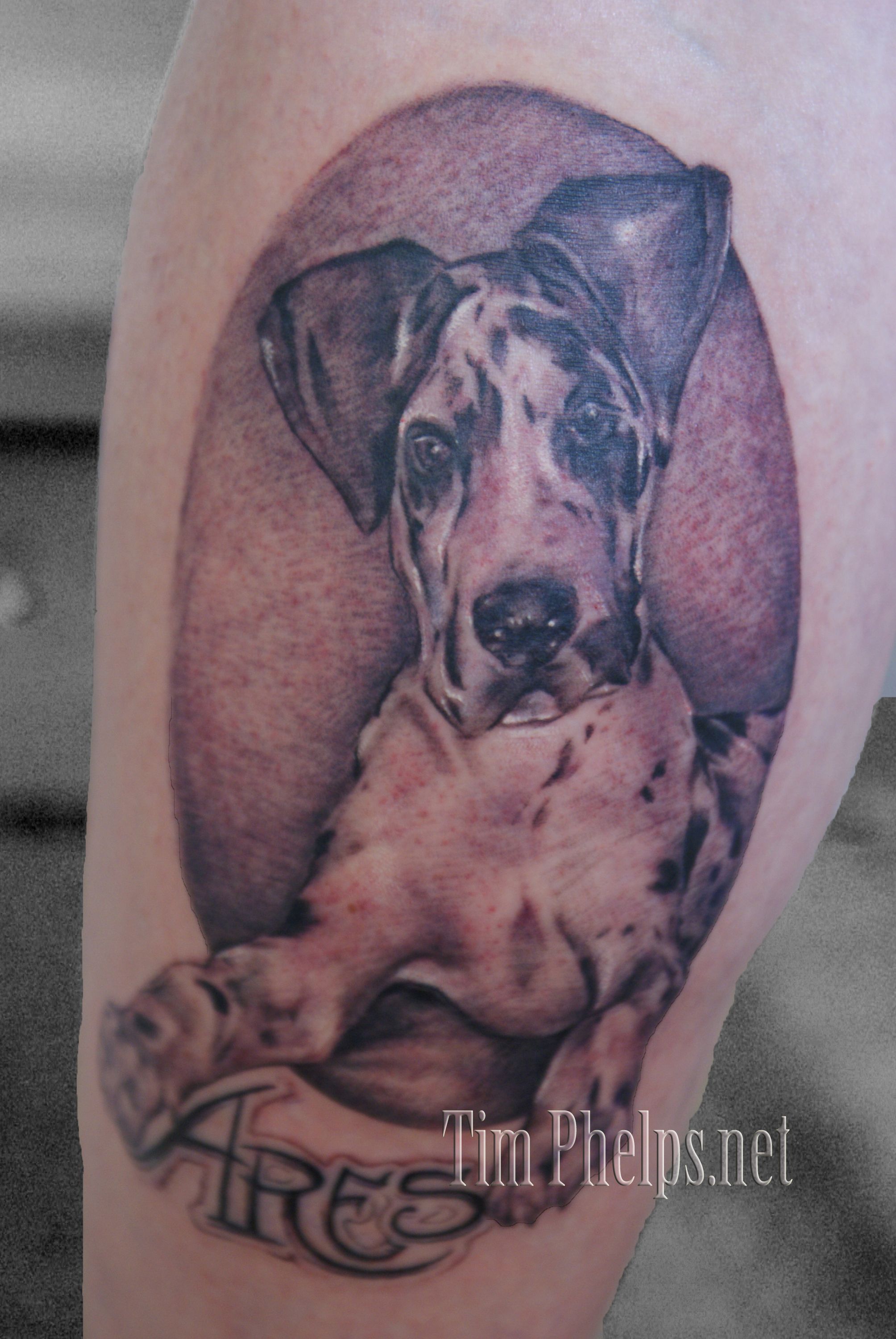 Tattoo uploaded by Rodrigo V.A. • Great Dane, Great Heart • Tattoodo