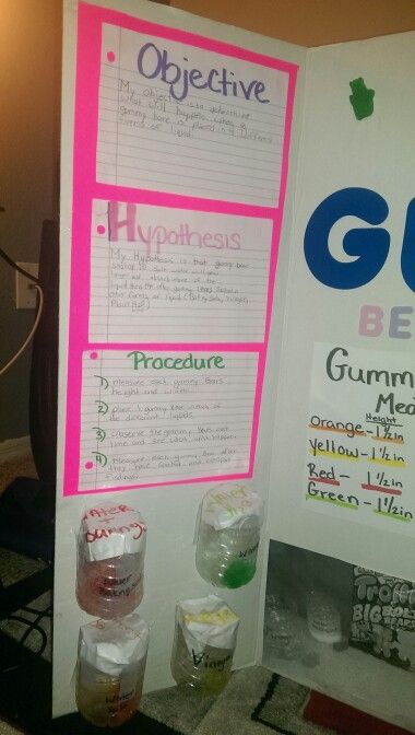Gummy bear science fair project