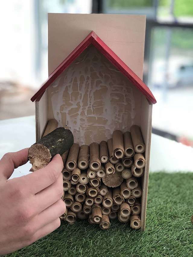 Bienen Im Garten Mit Kindern Insektenhotel bauen Bambusröhren | Insektenhotel, Insektenhotel bauen