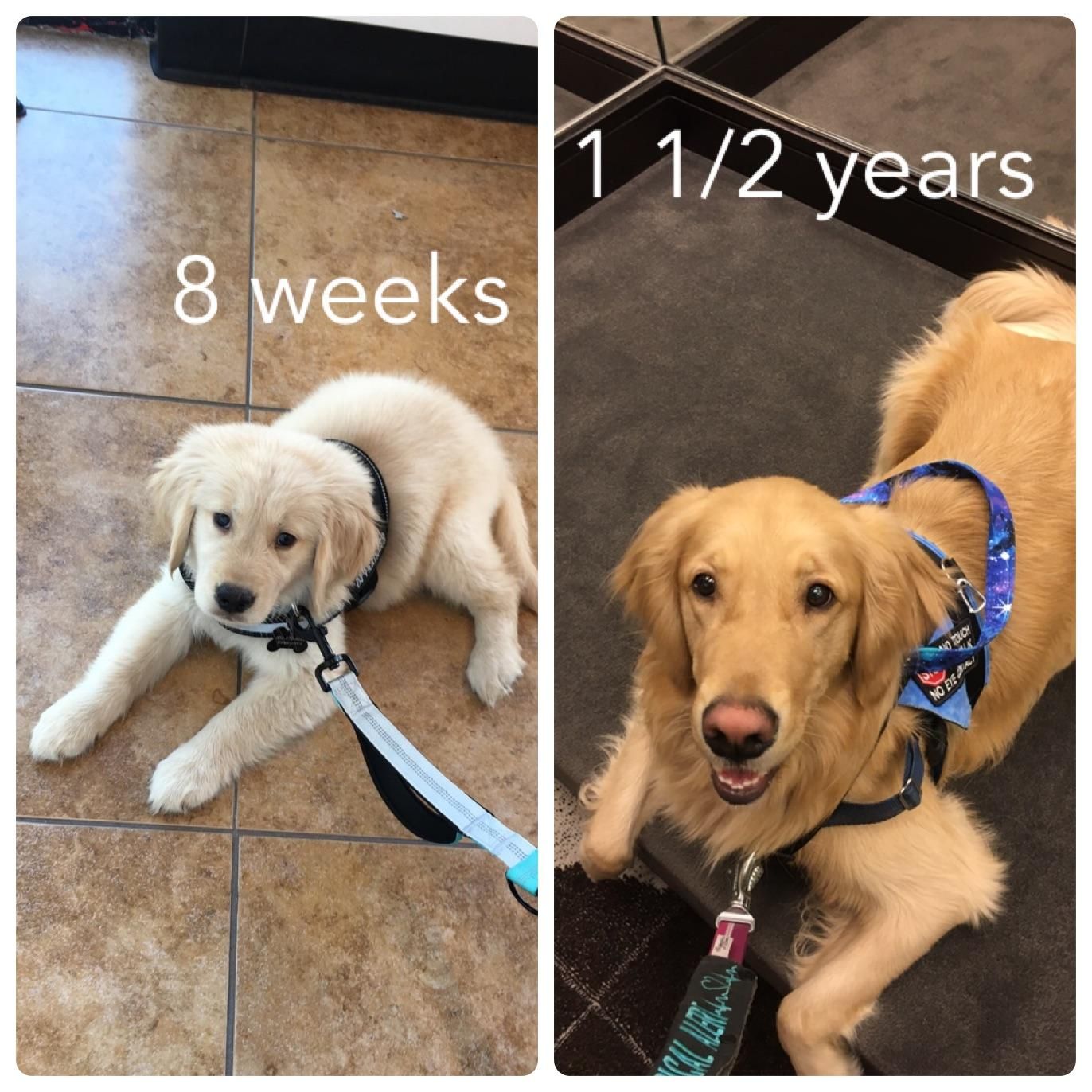 Im So Proud Of My Boy After Hundreds Of Hours Of Hard Work Hes