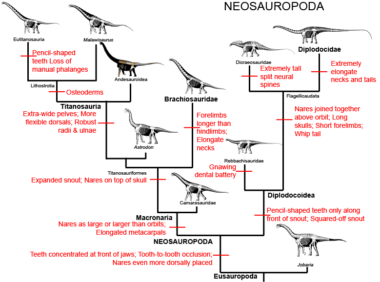 feathered brachiosaurus