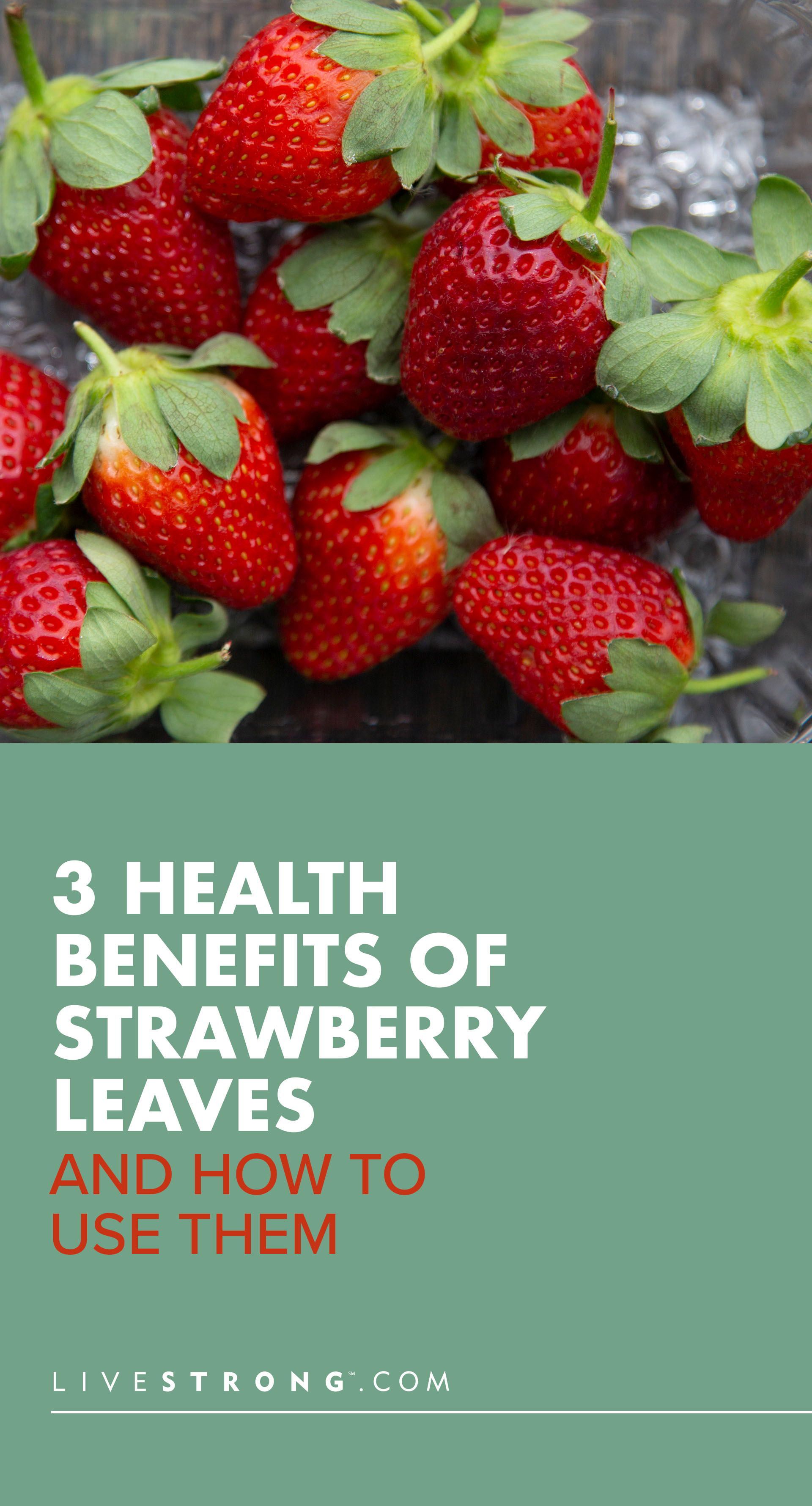 3 Health Benefits Of Strawberry Leaves 3 Health Benefits Of Strawberry Leaves