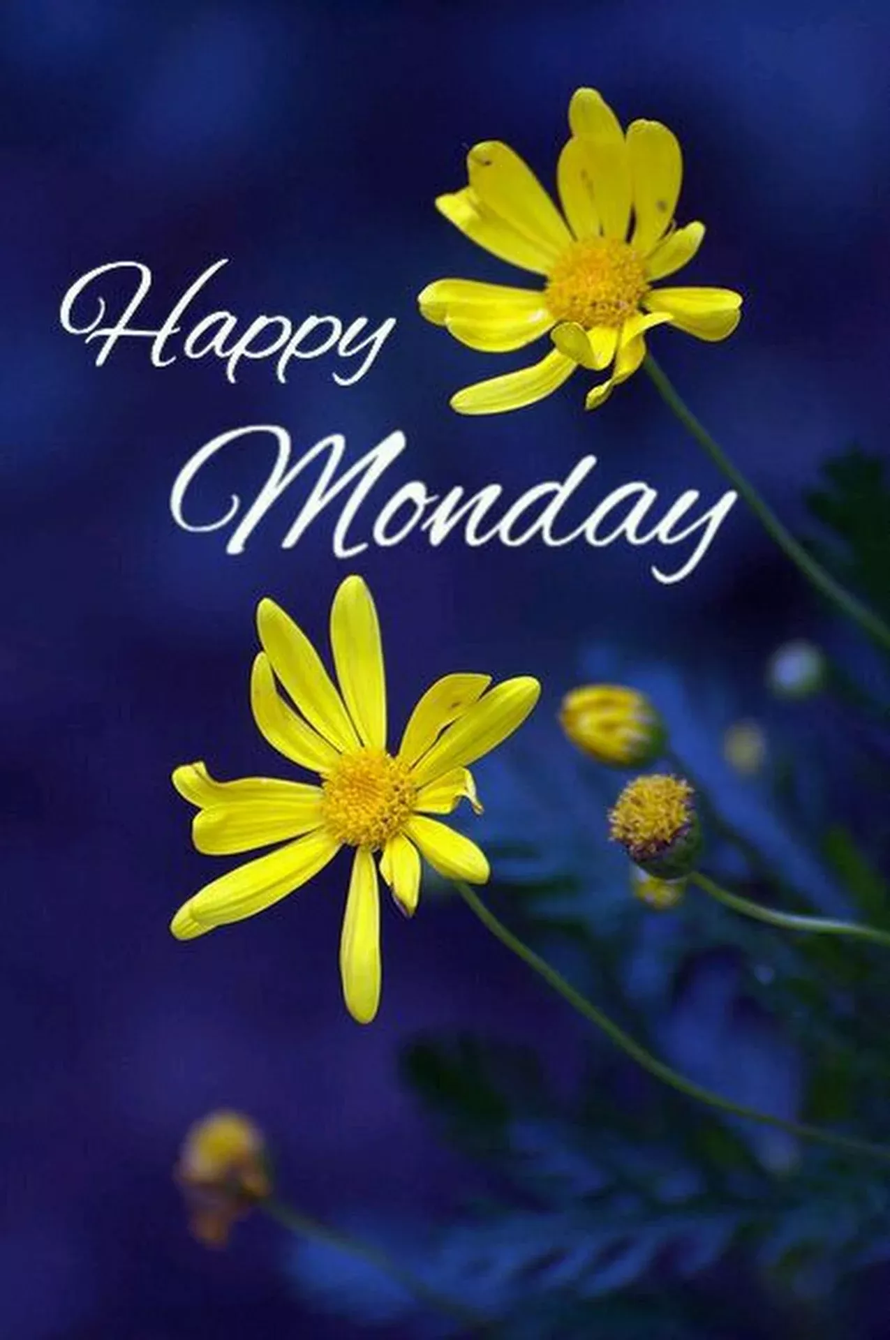 Graceful Good Morning Beautiful Friend Hindi Graceful Good Morning Beautiful Friend Hindi