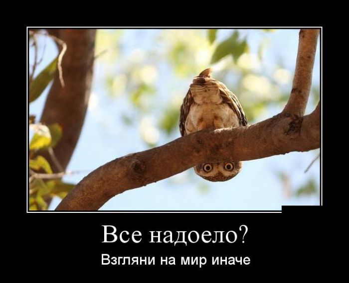 самые популярные игры за деньги самые популярные игры за деньги