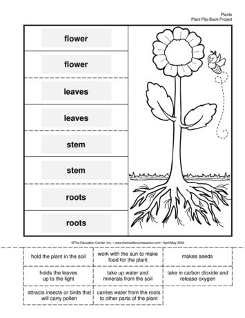 Reading fair project labels
