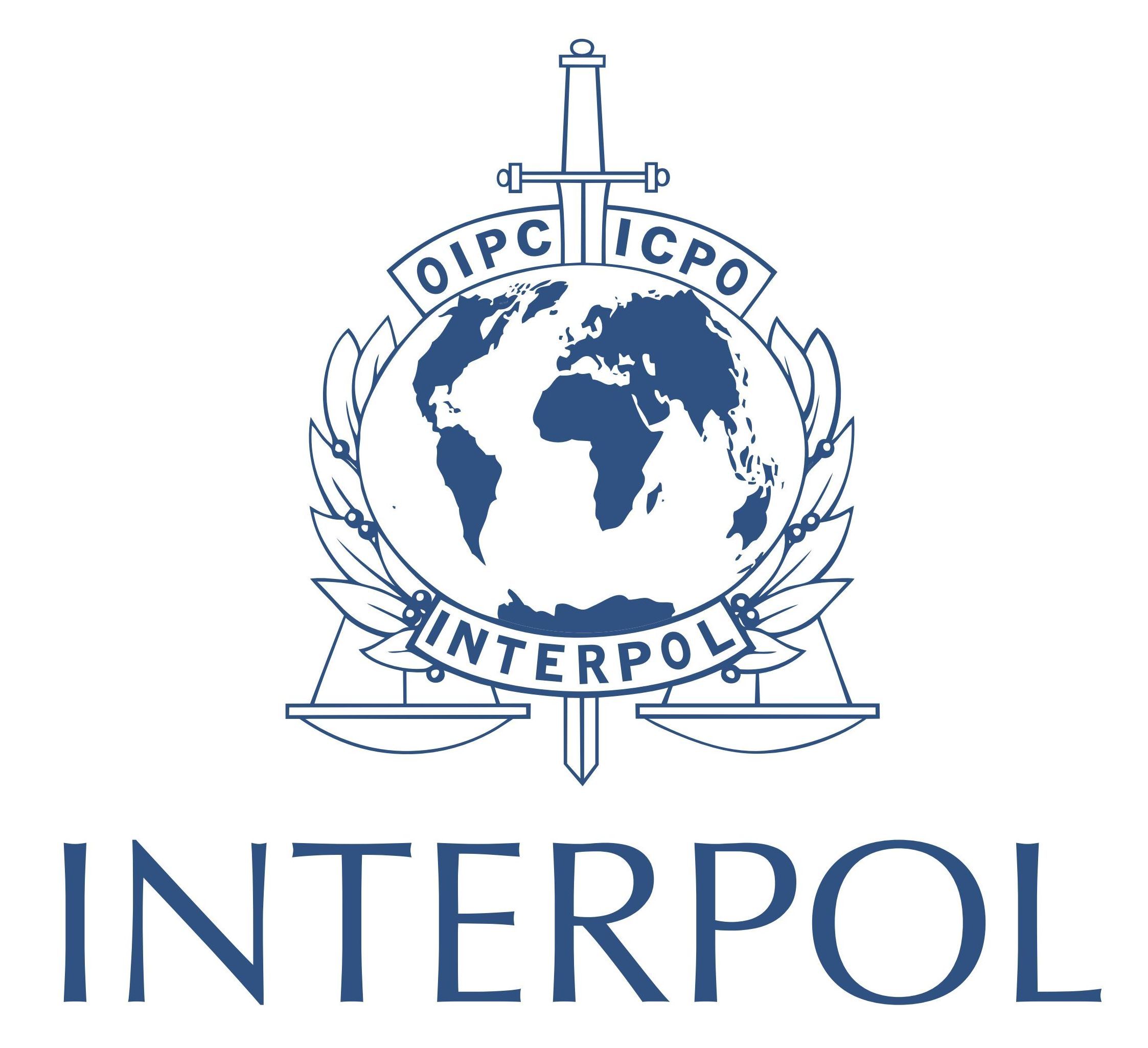 INTERPOL INTERNATIONAL CRIMINAL POLICE ORGANIZATION PIN