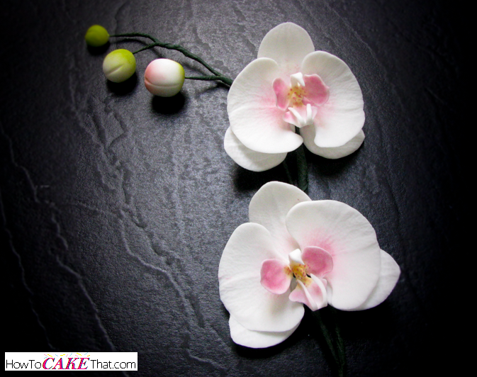 Idee Decoration Gateau Pate Sucre Fleur Idee Decoration Gateau Pate Sucre Fleur