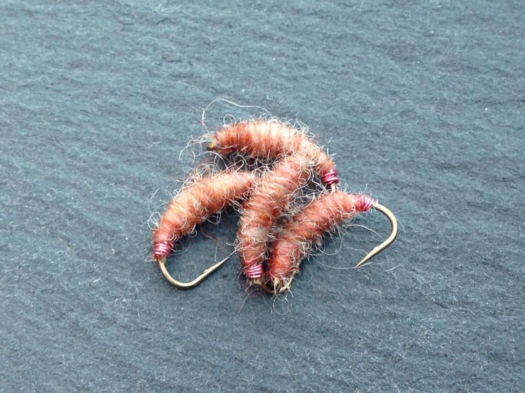 Pin on Flies