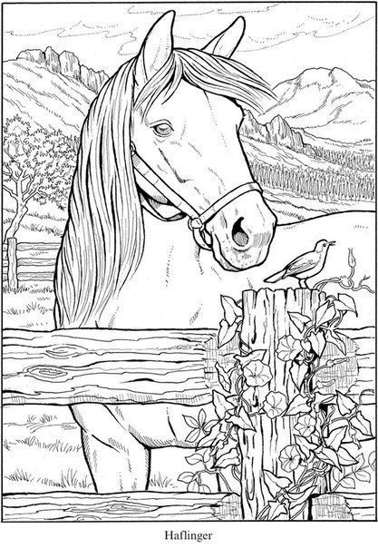 coloring Printable Adult Coloring Pages, Coloring Pages To Print