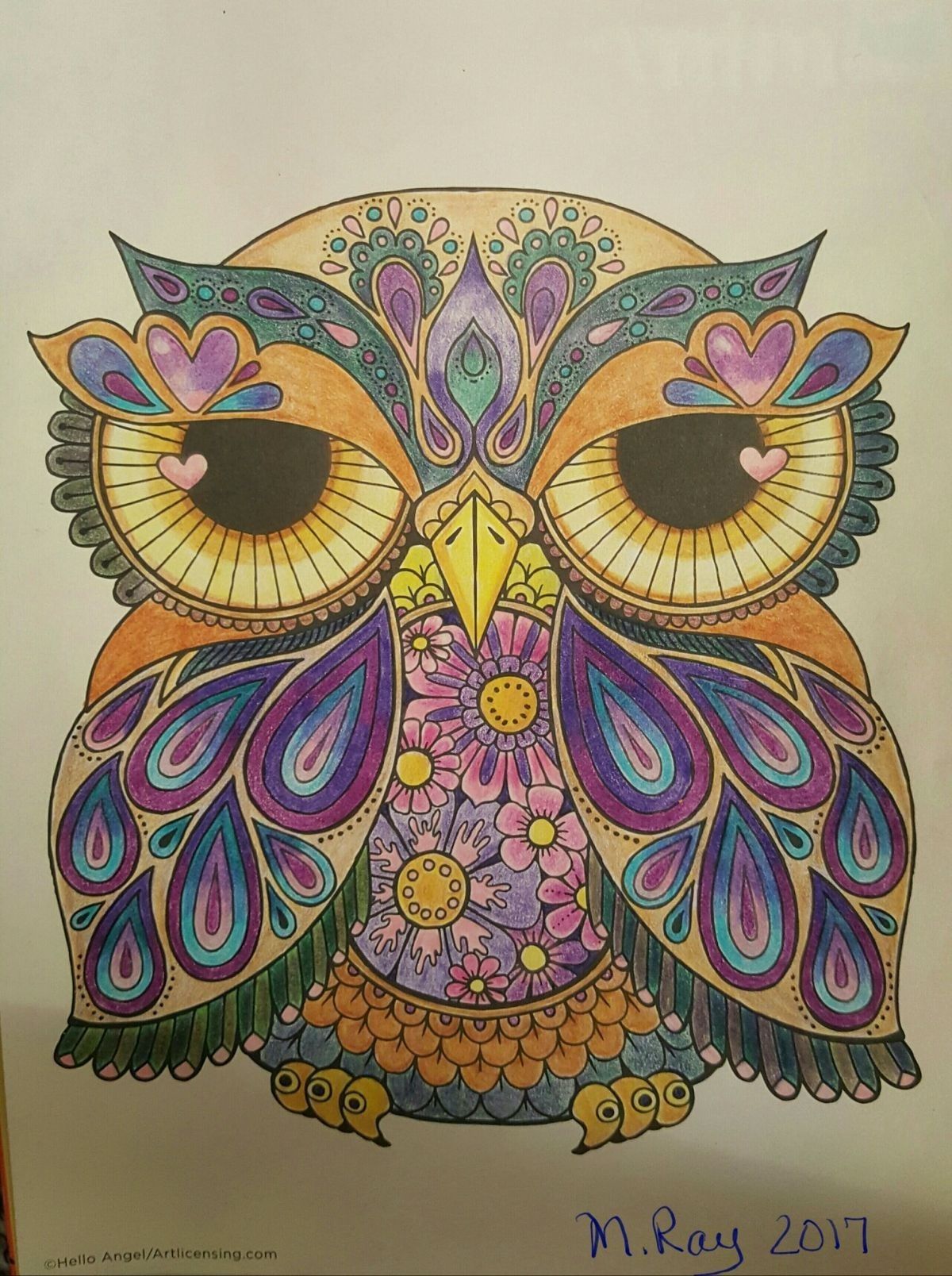 Pin by Deb springer on color | Owl artwork, Owl art, Owl pictures