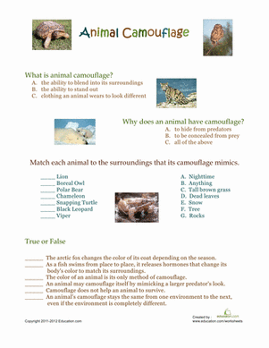 animal camouflage france homeschool