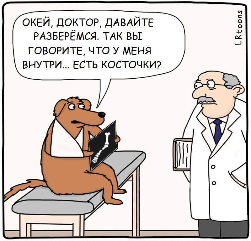 Приколы и картинки про ветеринара, юбилеем своими