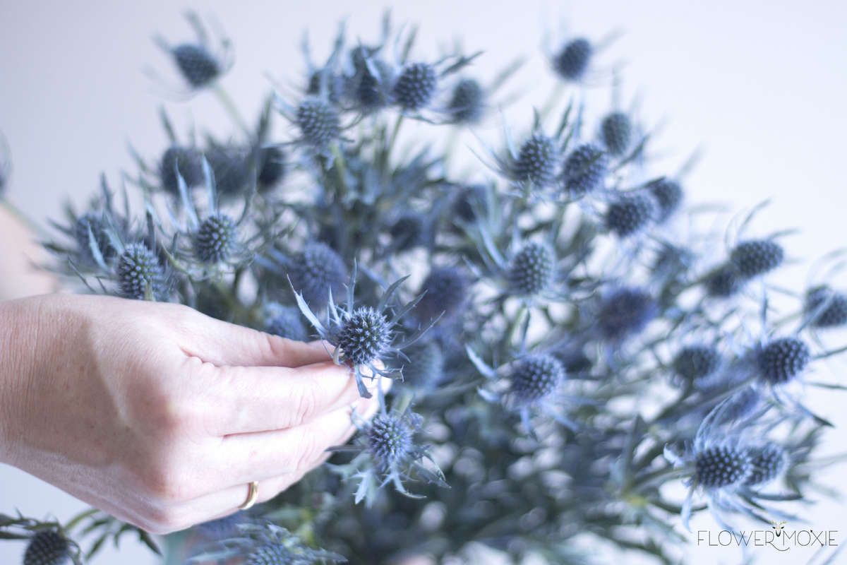 Image Result For Blue Thistle Wedding Bouquet Ktkinz Flowers Image Result For Blue Thistle Wedding Bouquet
