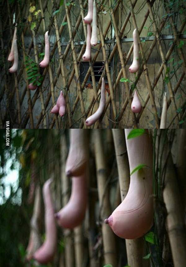like your idea. swinging boob vids your phrase