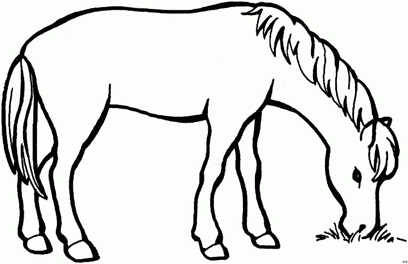 Pferd Malvorlage Einfach 10 Gut Malvorlage Pferd Einfach Eingebung 2020