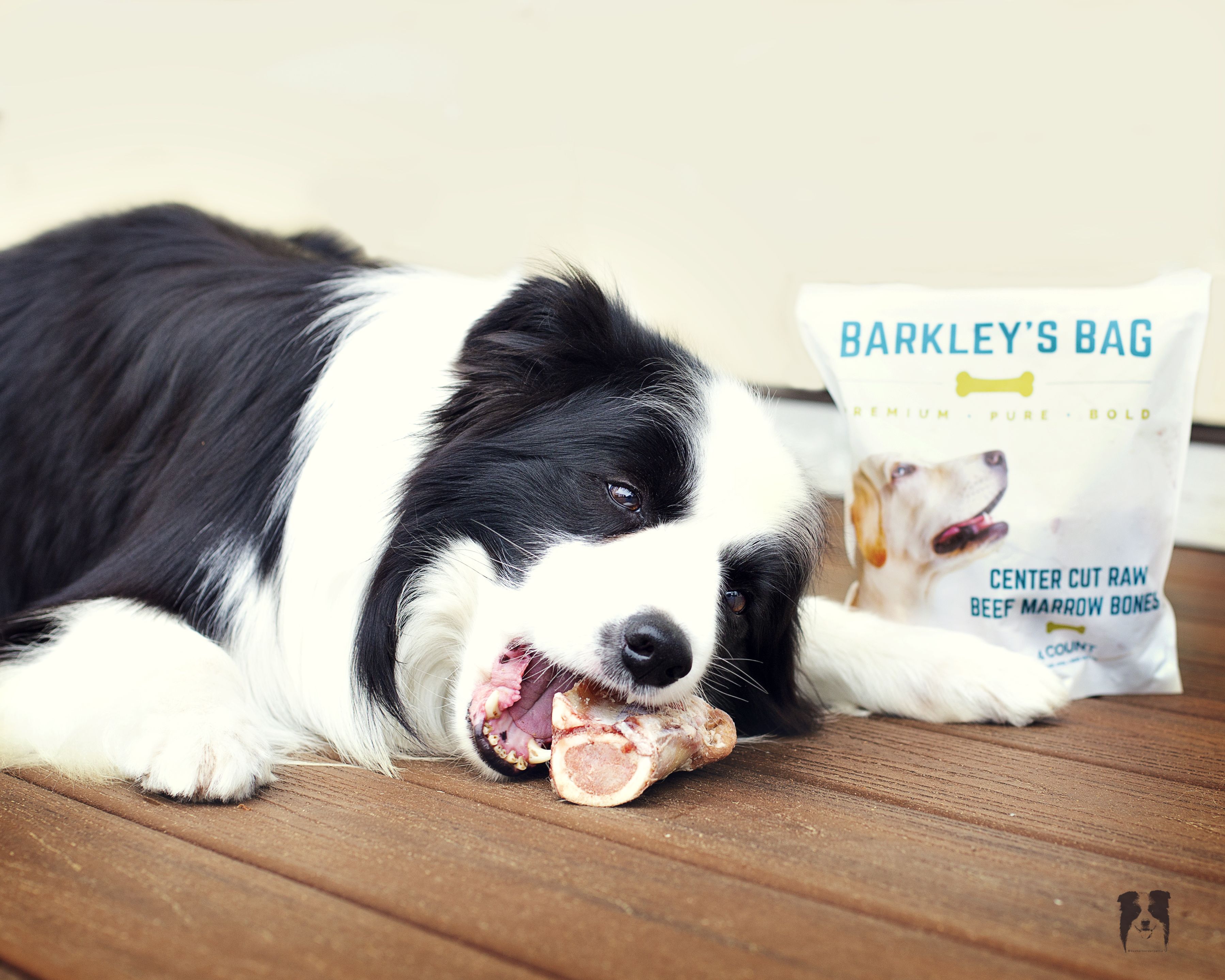 Pin On Barkley S Bag Raw Beef Marrow Bones