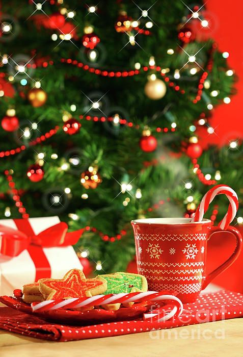 Weihnachtsplätzchen in der Nähe des Baumes von Sandra Cunningham