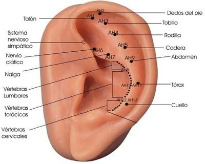 Cuáles son los puntos de la acupuntura?