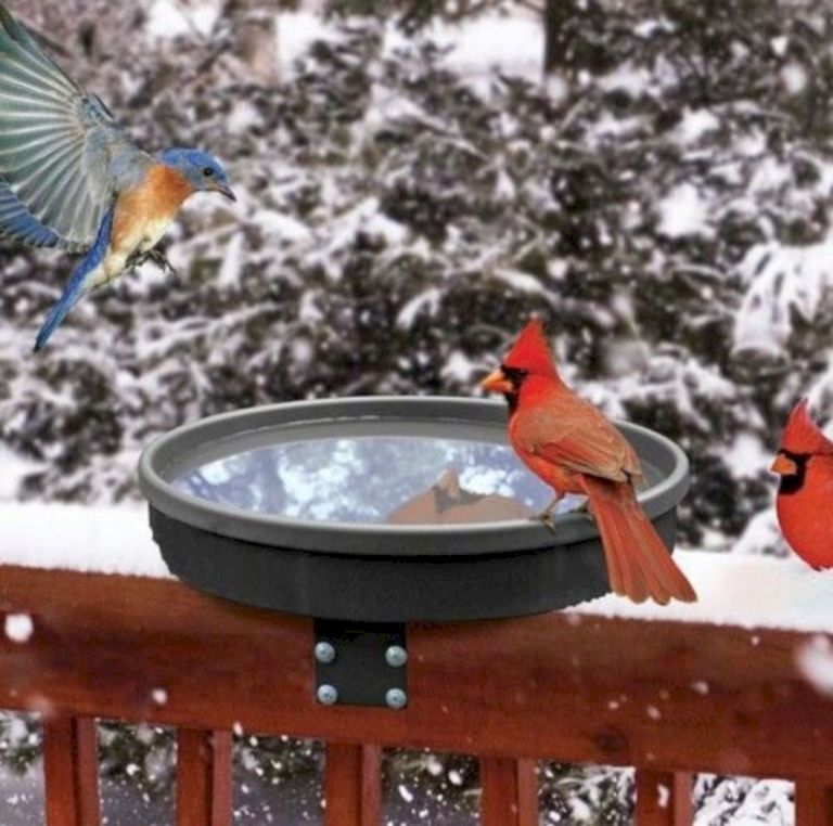 Heated Bird Bath Bird Bath Heated Bird Bath Bird Bath Bowl
