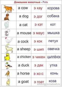 слова для детей на английском с картинками онлайн слова для детей на английском с картинками
