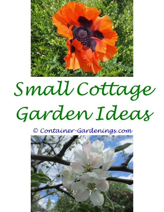 The 25 best Small garden design ideas south africa ideas on Ve able Container Gardening For Beginners