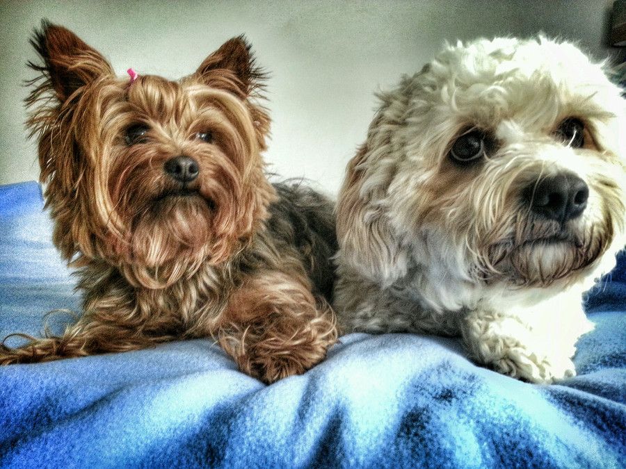 Photo Best Friends By Jenny Parry On 500px 500px Pradip