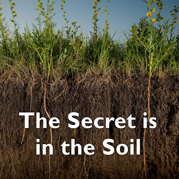 Soil as Carbon Storehouse: New Weapon in Climate Fight?