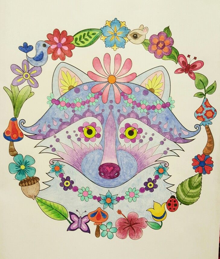 Raccoon From Thaneeya McArdles Nature Mandalas