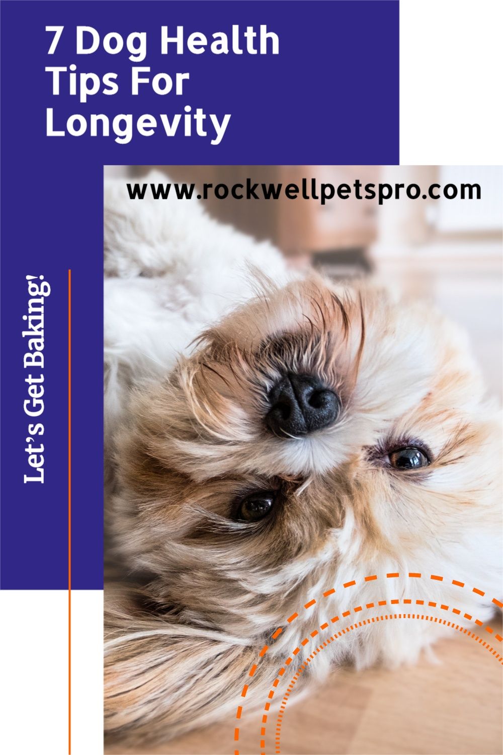 Puppy Health, Dog Health Tips, Dog Health Care, Health Guide, Natural Dog Ear Cleaner, Diabetic Dog Food, Dog Vitamins, Herding Breed