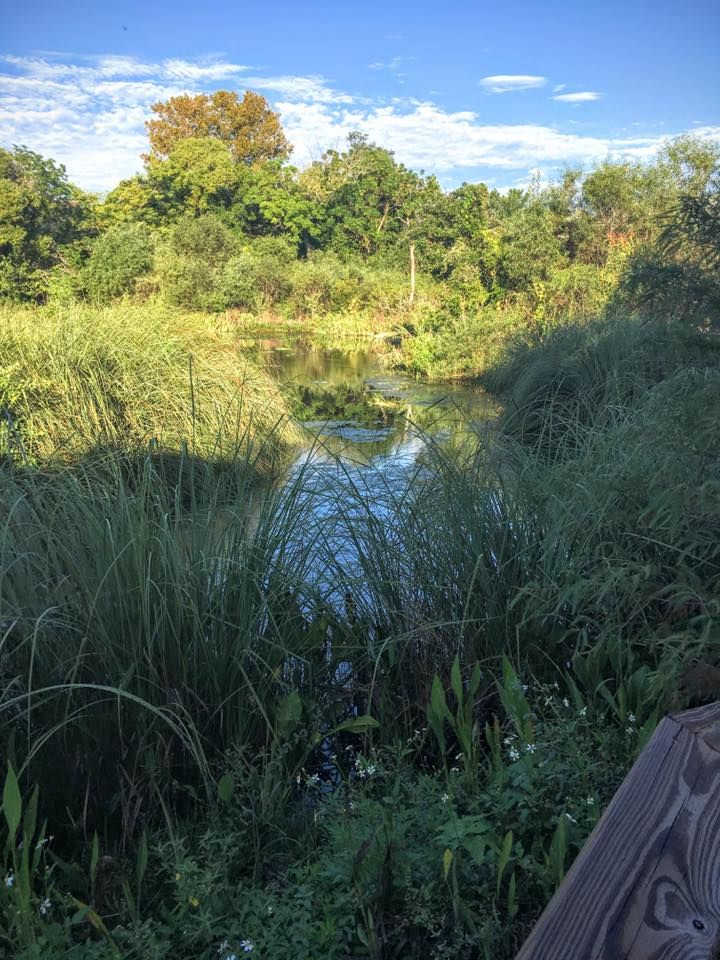mead botanical garden photos