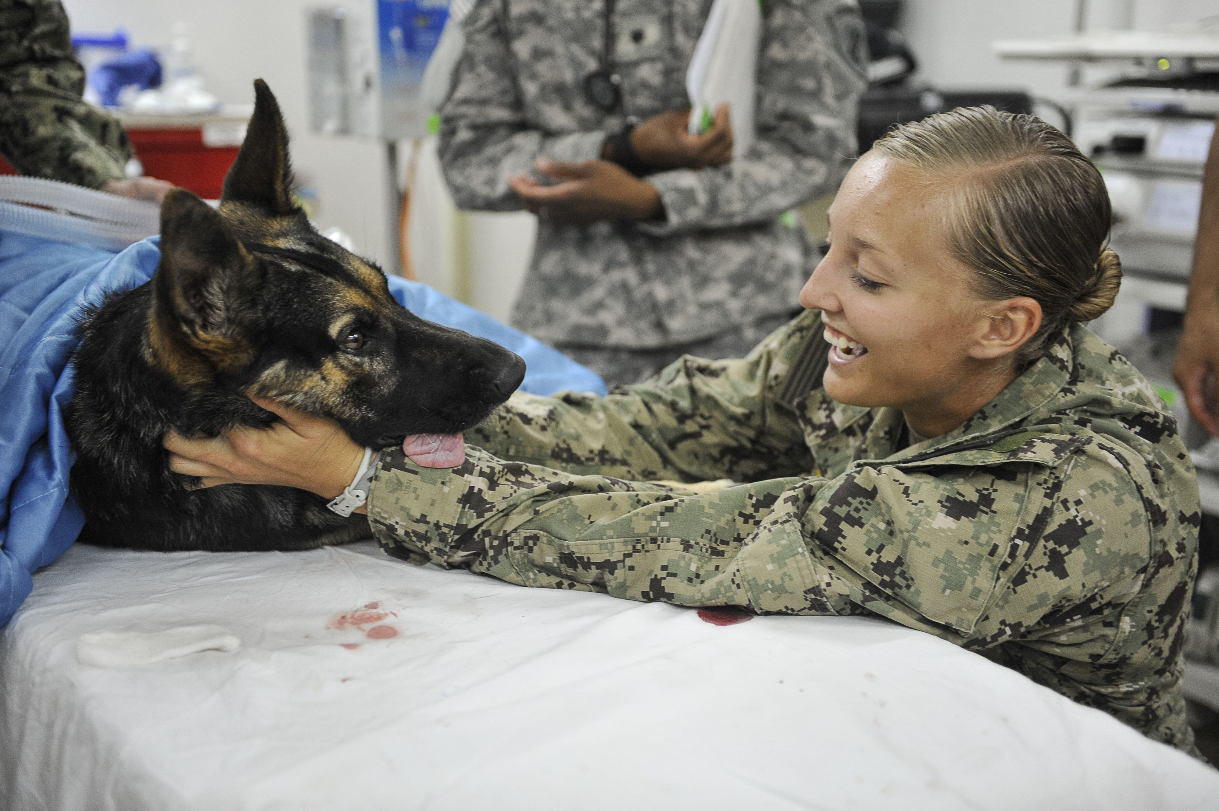 us army dog handler