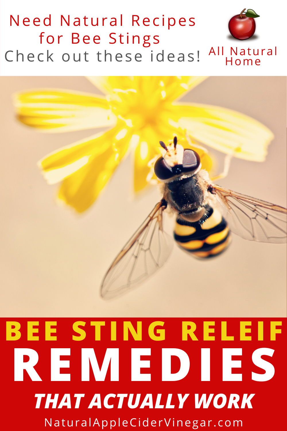 reduce swelling bumble bee sting reduce swelling bumble bee sting