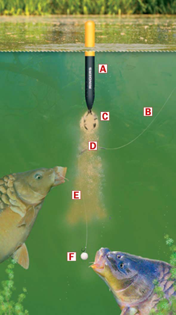 This bagging waggler rig is one of the easiest and safest rigs you can use to catch loads of carp in matches. It takes seconds to set up and can provide you with frantic sport and huge weights in the warmer weather. You will need a bagging waggler float (the type with a large balsa body and Carp Fishing Tips, Pike Fishing, Fishing Rigs, Crappie Fishing, Fishing Knots, Best Fishing, Saltwater Fishing, Kayak Fishing, Fishing Tackle