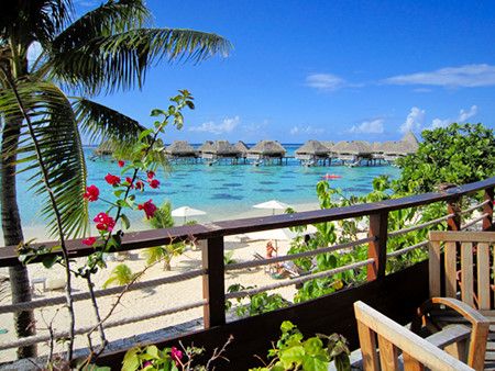 over water bungalows | Tahiti vacations, Water bungalow, Tahiti