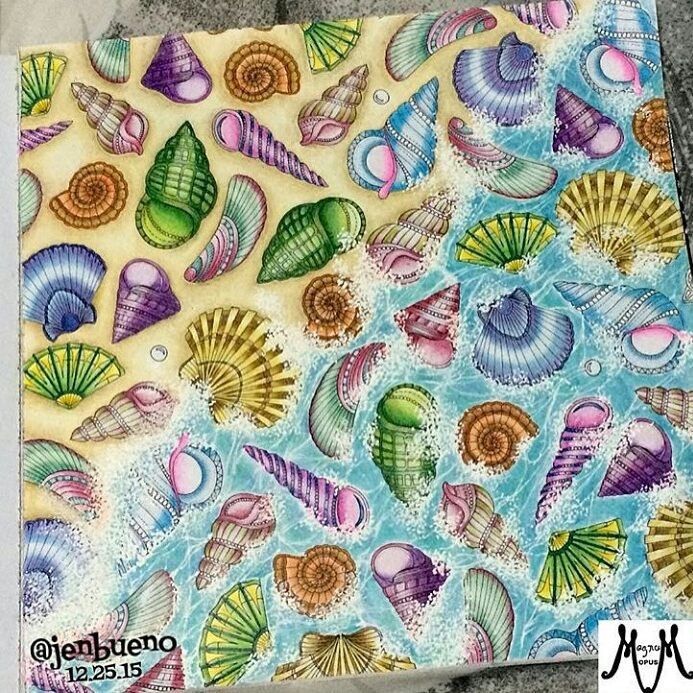 410+ Lost Ocean Coloring Book Shell Free Images 410+ Lost Ocean Coloring Book Shell Free Images