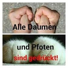 Ich DrГјcke Die Daumen FГјr Dich Ich DrГјcke Die Daumen FГјr Dich