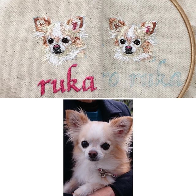 犬 おしゃれまとめの人気アイデア Pinterest あおい 刺繍 犬 ペット 犬 おしゃれまとめの人気アイデア Pinterest あおい 刺繍 犬 ペット