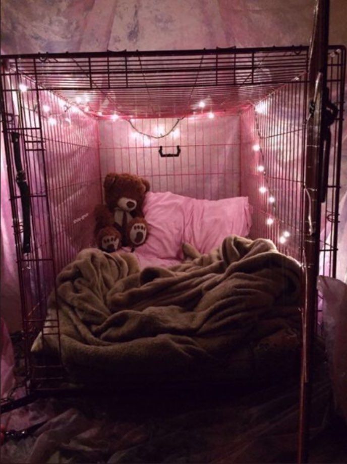 puppy ♡ on Twitter puppy ♡ on Twitter
